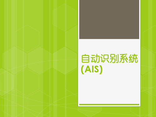 自动识别系统(AIS)资料