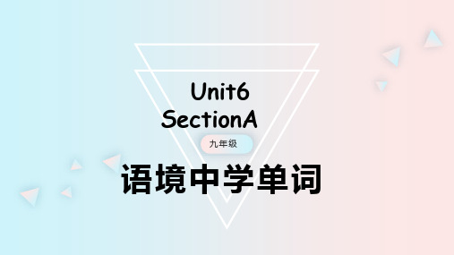 人教版英语九年级Unit6_SectionA_语境法讲单词词组