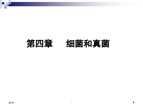 最新人教版八年级上册生物课件第四章第一节细菌和真菌的分布ppt课件