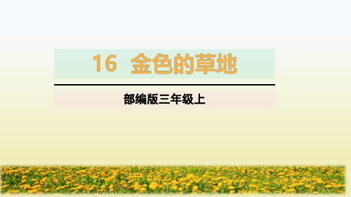 部编版小学三年级语文上册16、《金色的草地》公开课教学课件