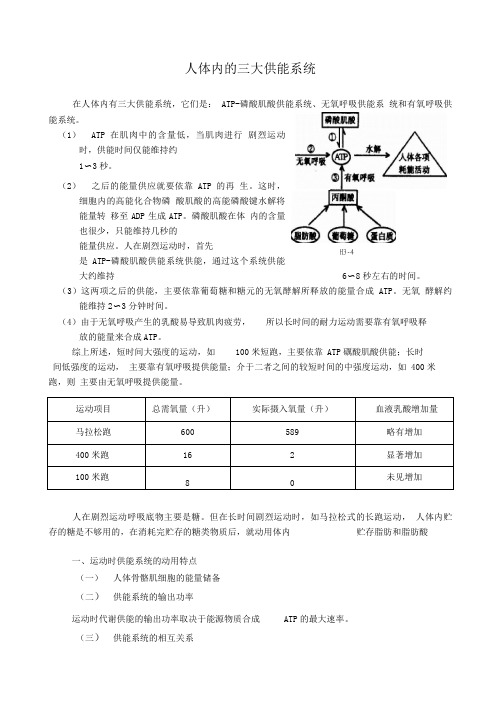 人体内的三大供能系统