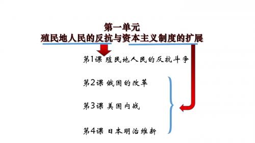 人教部编版九年级下册历史第一单元第1课 殖民地人民的反抗(共16张PPT)