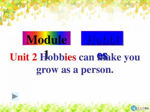 Hobbies PPT课件 14 外研版