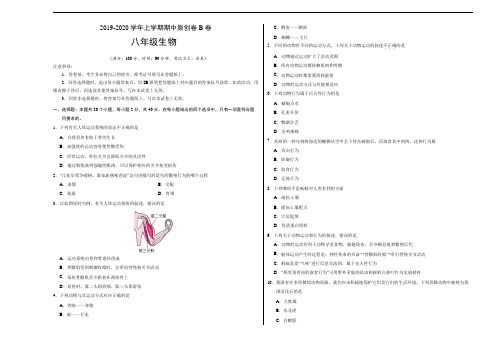 2019-2020学年八年级生物上学期期中原创卷B卷(湖北)