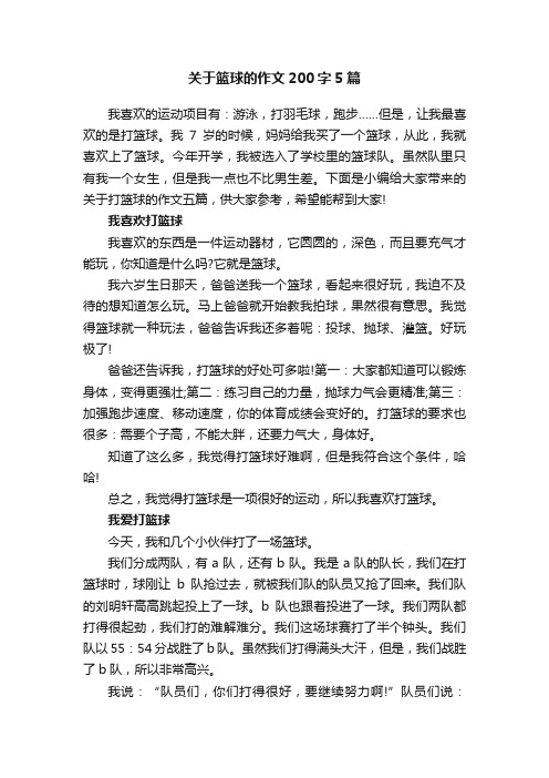 关于篮球的作文200字5篇