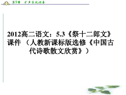 高二语文：5.3《祭十二郎文》课件 (人教新课标选修《中国古代诗歌散文欣赏》)