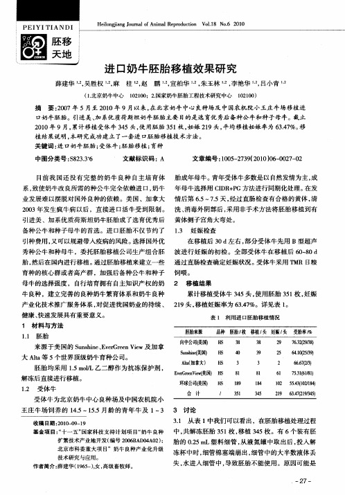 进口奶牛胚胎移植效果研究