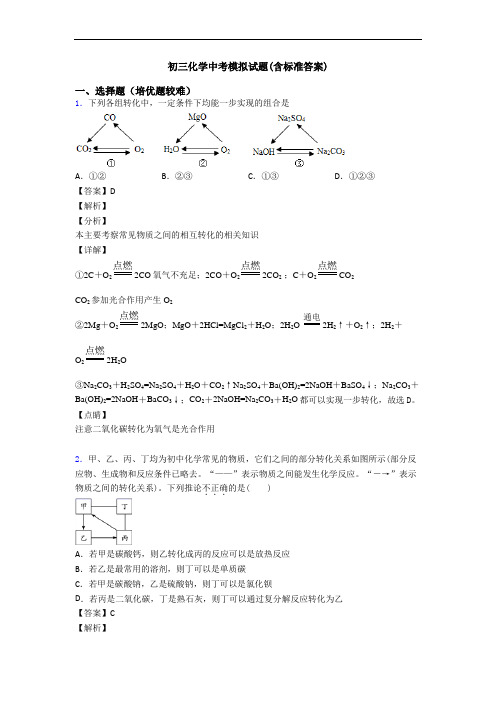 初三化学中考模拟试题(含标准答案)