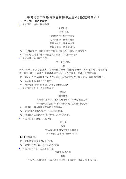 中考语文下学期诗歌鉴赏模拟质量检测试题带解析1