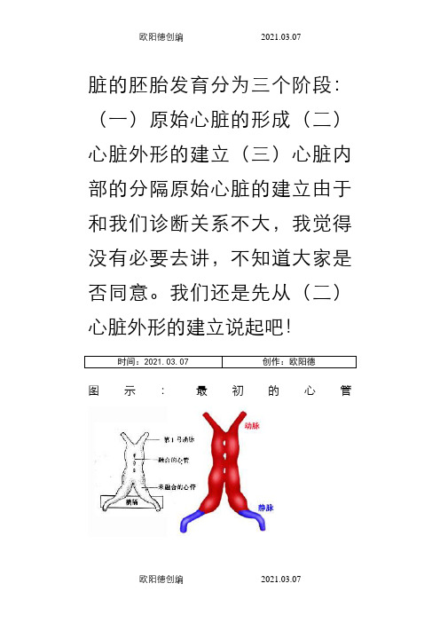 心脏的胚胎发育之欧阳德创编