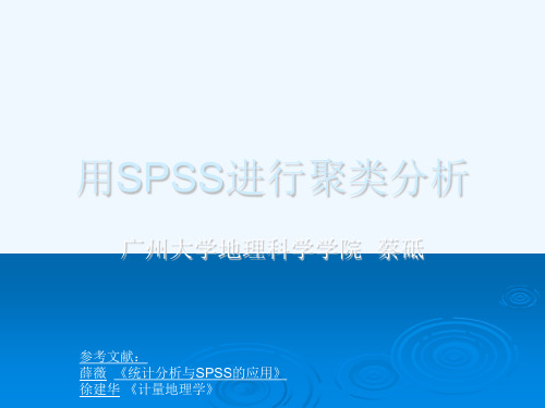 用SPSS进行聚类分析