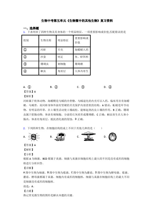 生物中考第五单元《生物圈中的其他生物》复习资料