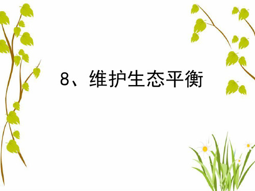 最新教科版小学五年级上册科学《维护生态平衡》教学课件