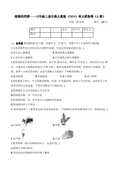 2.1植物的类群——七年级上册生物人教版(2024)单元质检卷(A卷)(含解析)