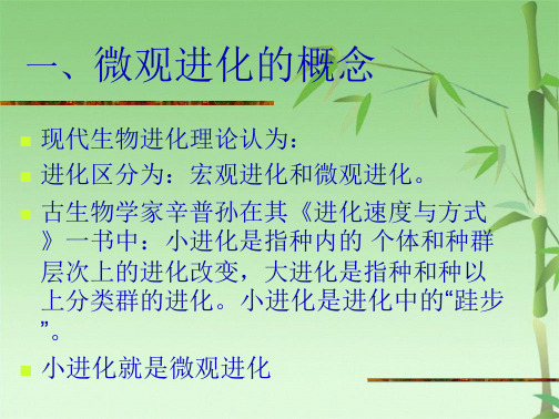 生物的微观进化11(共48张PPT)