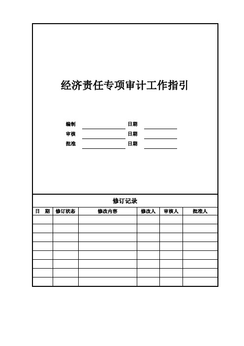 经济责任专项审计工作指引,