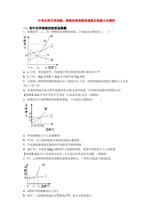 中考化学专项训练：溶液的浓度提高课堂达标练习及解析