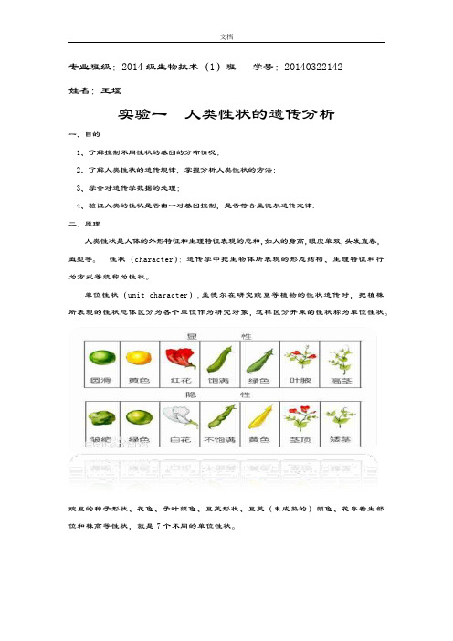 实验一：人类性状遗传分析报告