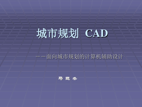 城市规划  CAD