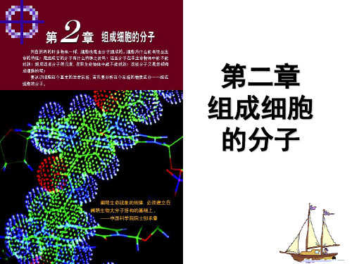 高三生物一轮复习必修一细胞的分子组成