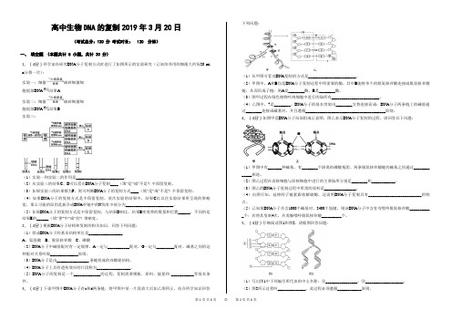 高中生物DNA的复制