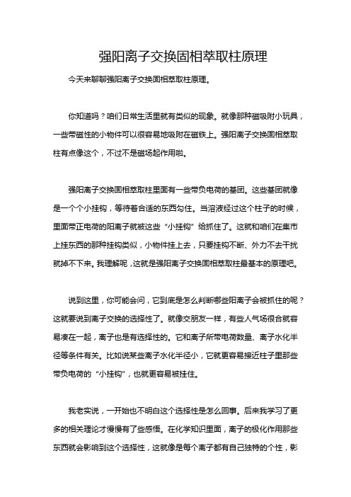 强阳离子交换固相萃取柱原理