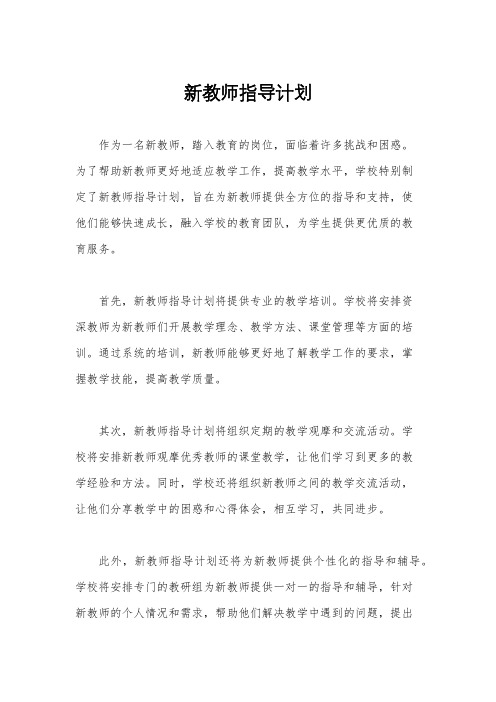 新教师指导计划