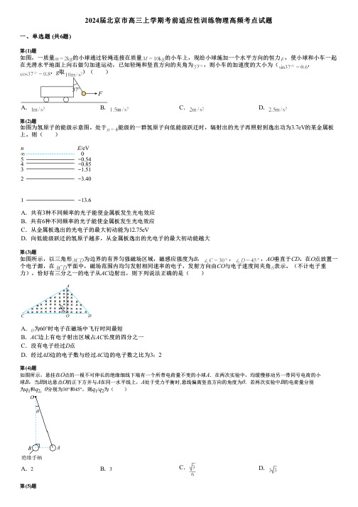 2024届北京市高三上学期考前适应性训练物理高频考点试题 (2)