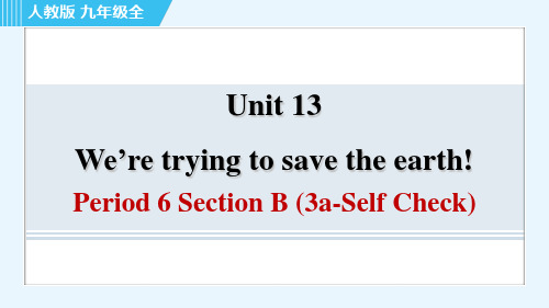 人教版九年级全一册英语同步培优Unit 13 Period 6 Section B (3a)