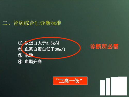 最新肾病综合征及护理-PPT文档