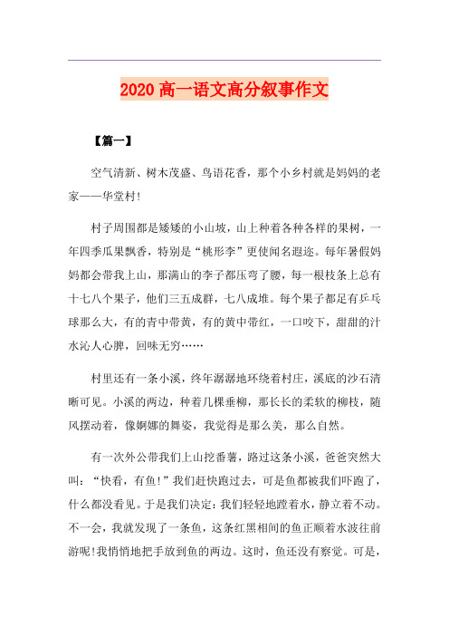 高一语文高分叙事作文