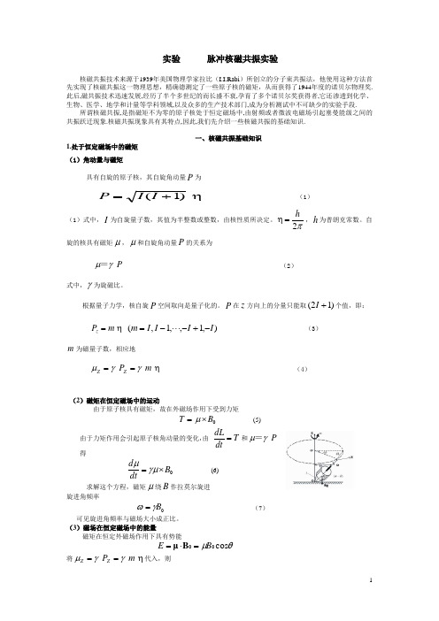 脉冲 核磁共振实验讲解