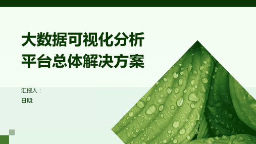 大数据可视化分析平台总体解决方案