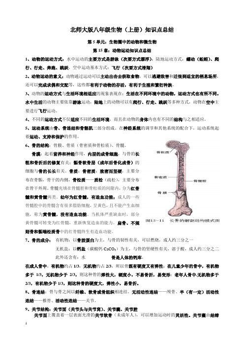 八年级生物上册15章动物的运动 知识点总结(经本人重新整理后)