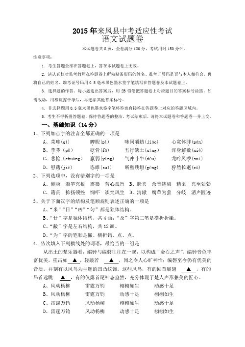 中考专题 来凤县 适应性考试