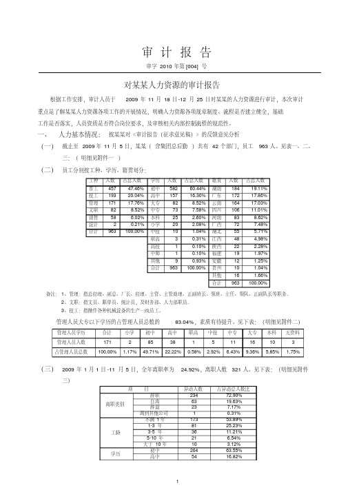 人力资源审计报告(定稿)