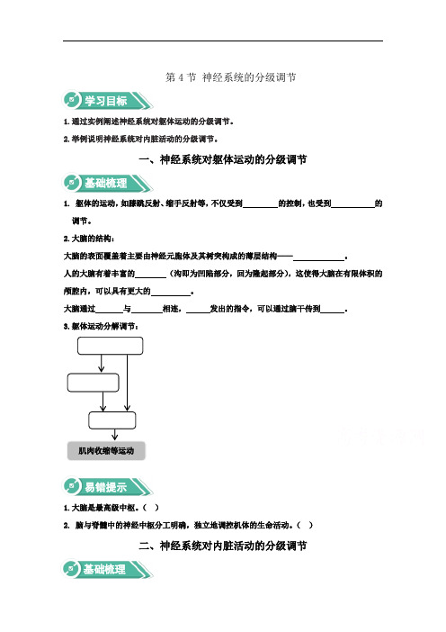 2020-2021学年高中生物人教版必修一学案：2.4神经系统的分级调节