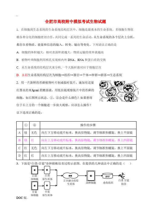 安徽省合肥地区高校附中09届高三生物联考试卷新人教版