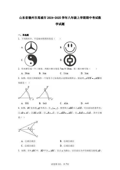 山东省德州市禹城市2024-2025学年八年级上学期期中考试数学试题