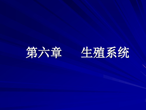 动物解剖学 第六章 生殖系统