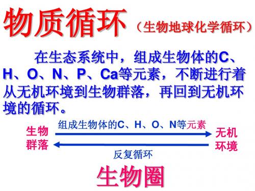 4.2生态系统的稳态(3)