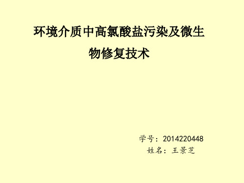 环境介质中高氯酸盐污染及微生物修复技术