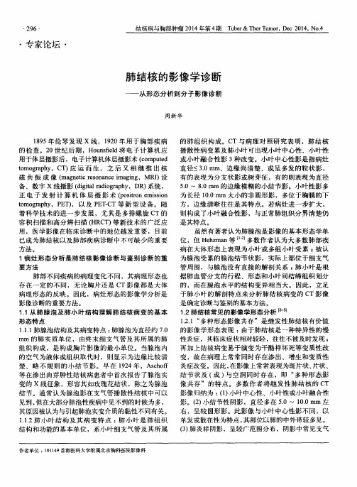 肺结核的影像学诊断——从形态分析到分子影像诊断