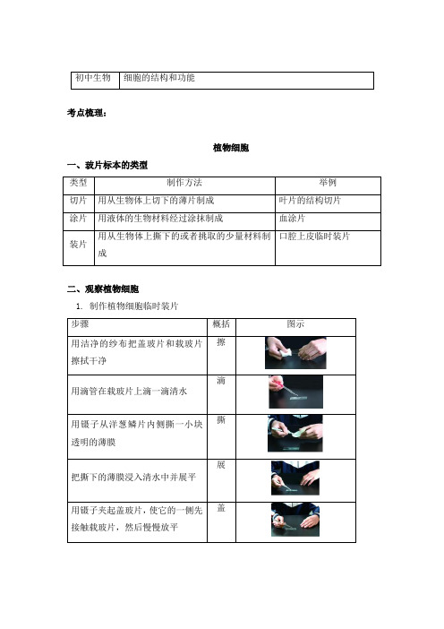 生物七年级上册考点汇总 2.1.2细胞的结构和功能-人教版