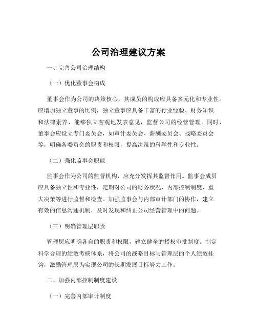 公司治理建议方案