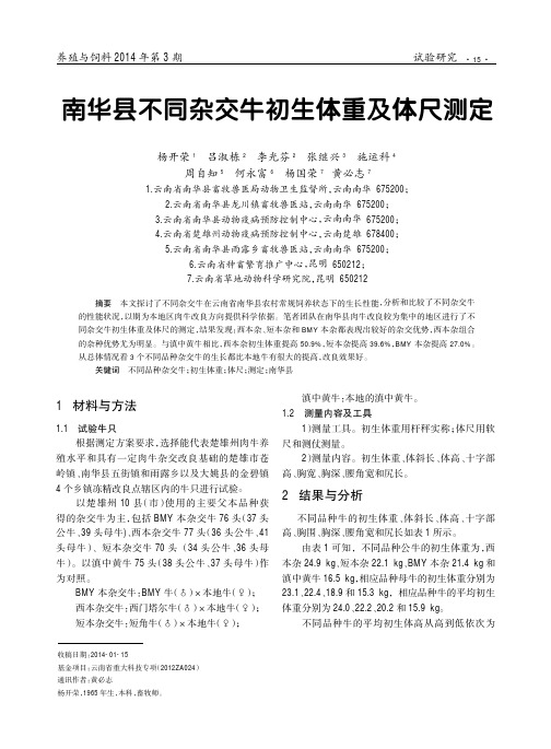 南华县不同杂交牛初生体重及体尺测定