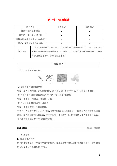 高中生物 第二章 细胞的结构 第一节 细胞概述学案 浙科版必修1