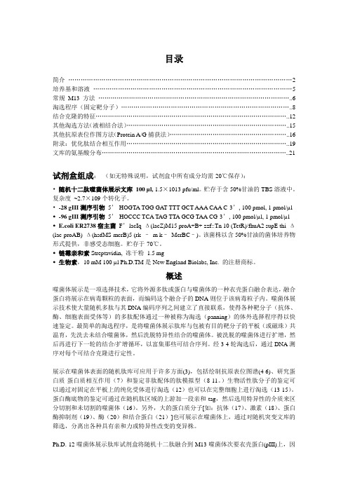 噬菌体随机肽库_中文说明书_phage_display