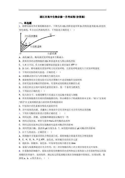 湛江市高中生物必修一月考试卷(含答案)