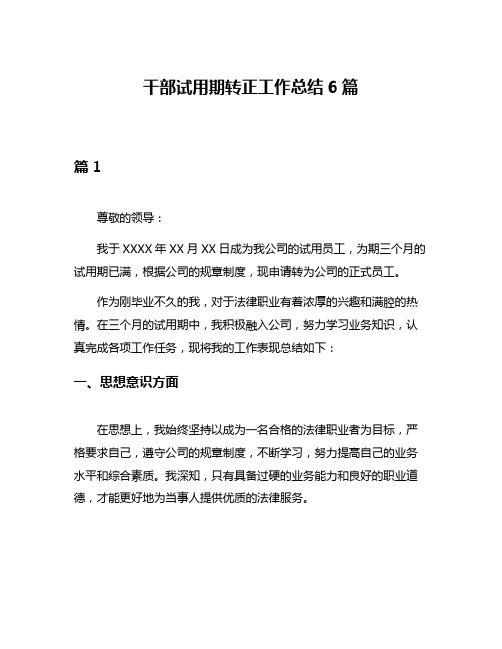 干部试用期转正工作总结6篇